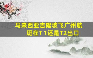 马来西亚吉隆坡飞广州航班在T 1还是T2出口